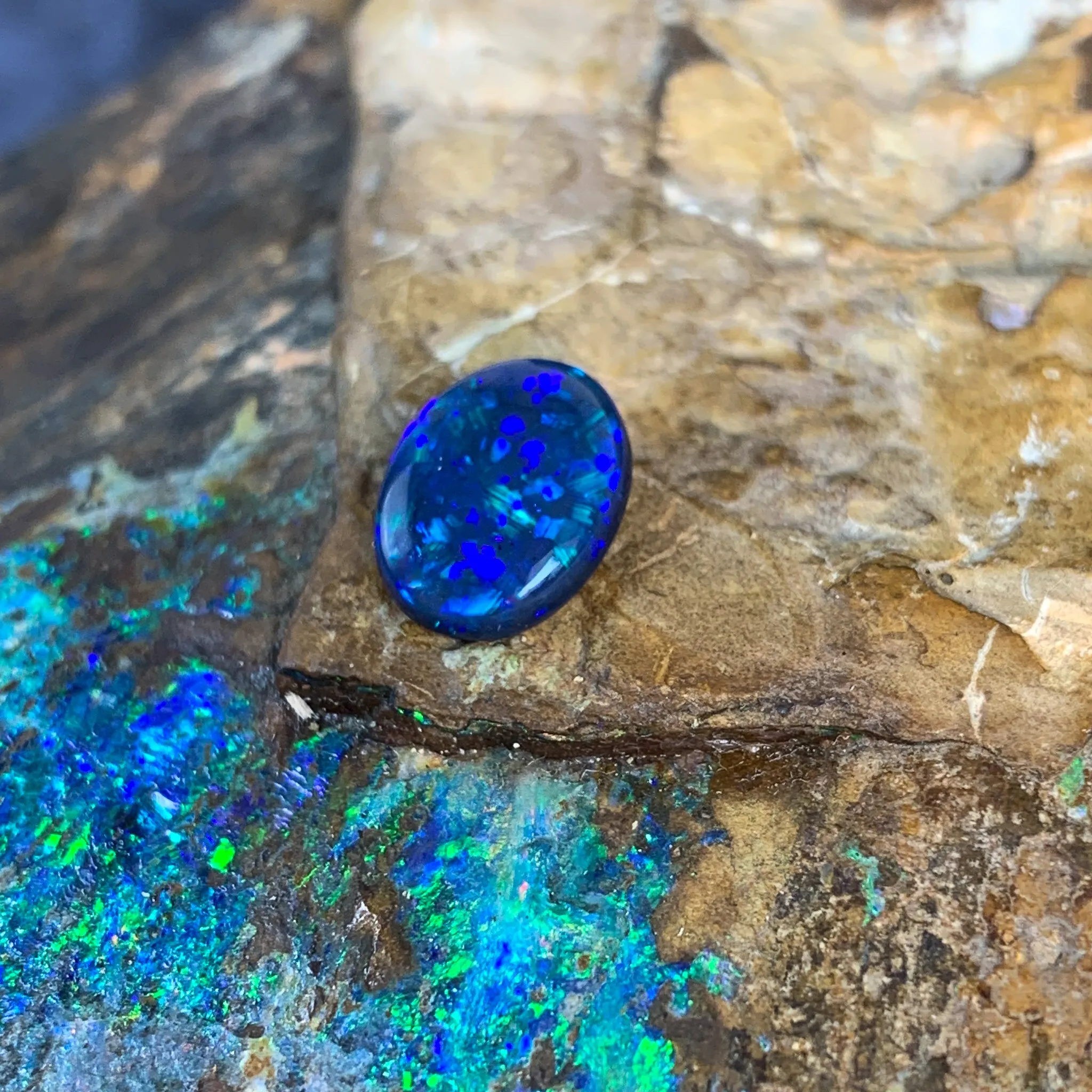1.7ct Oval Black Opal loose Blue