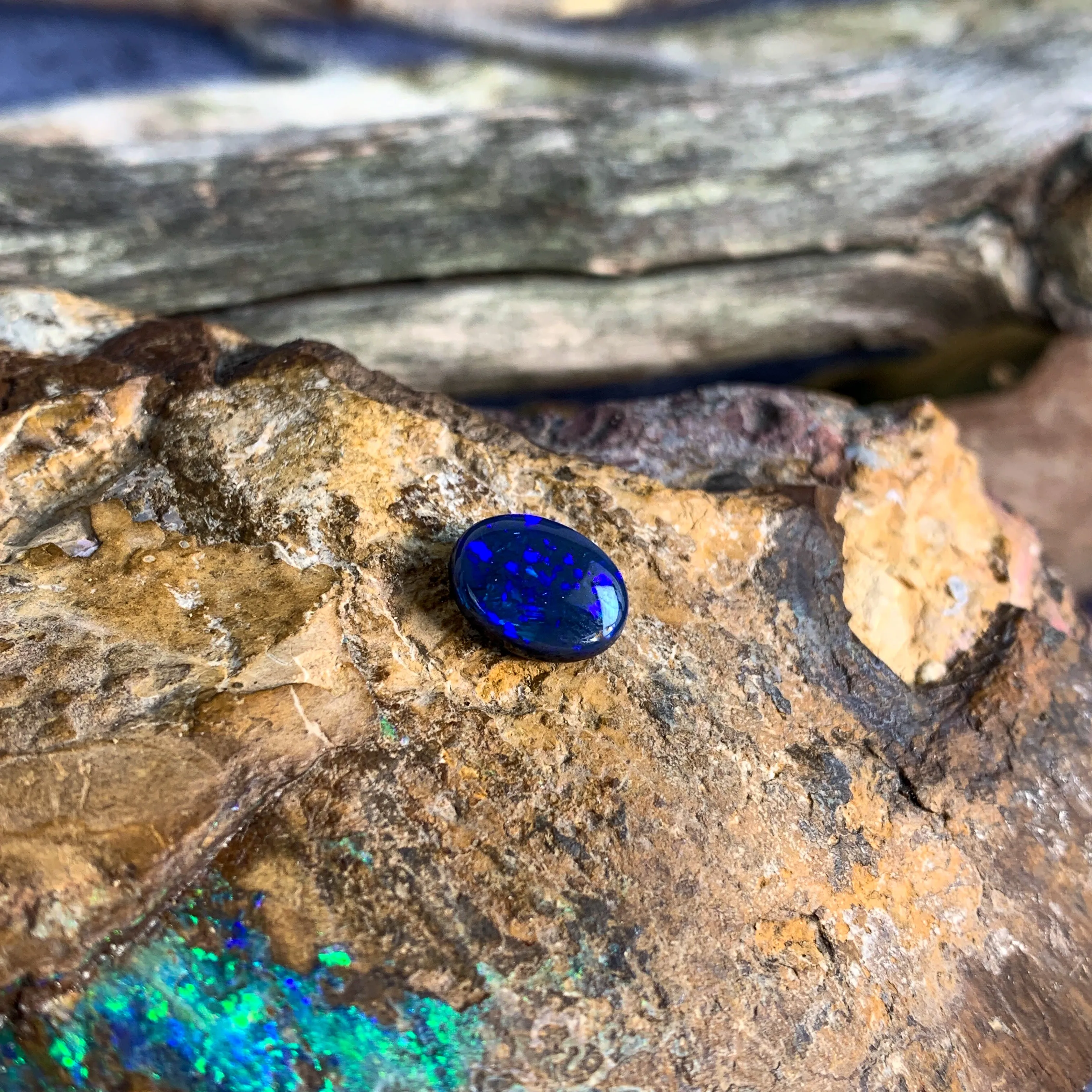 1.7ct Oval Black Opal loose Blue