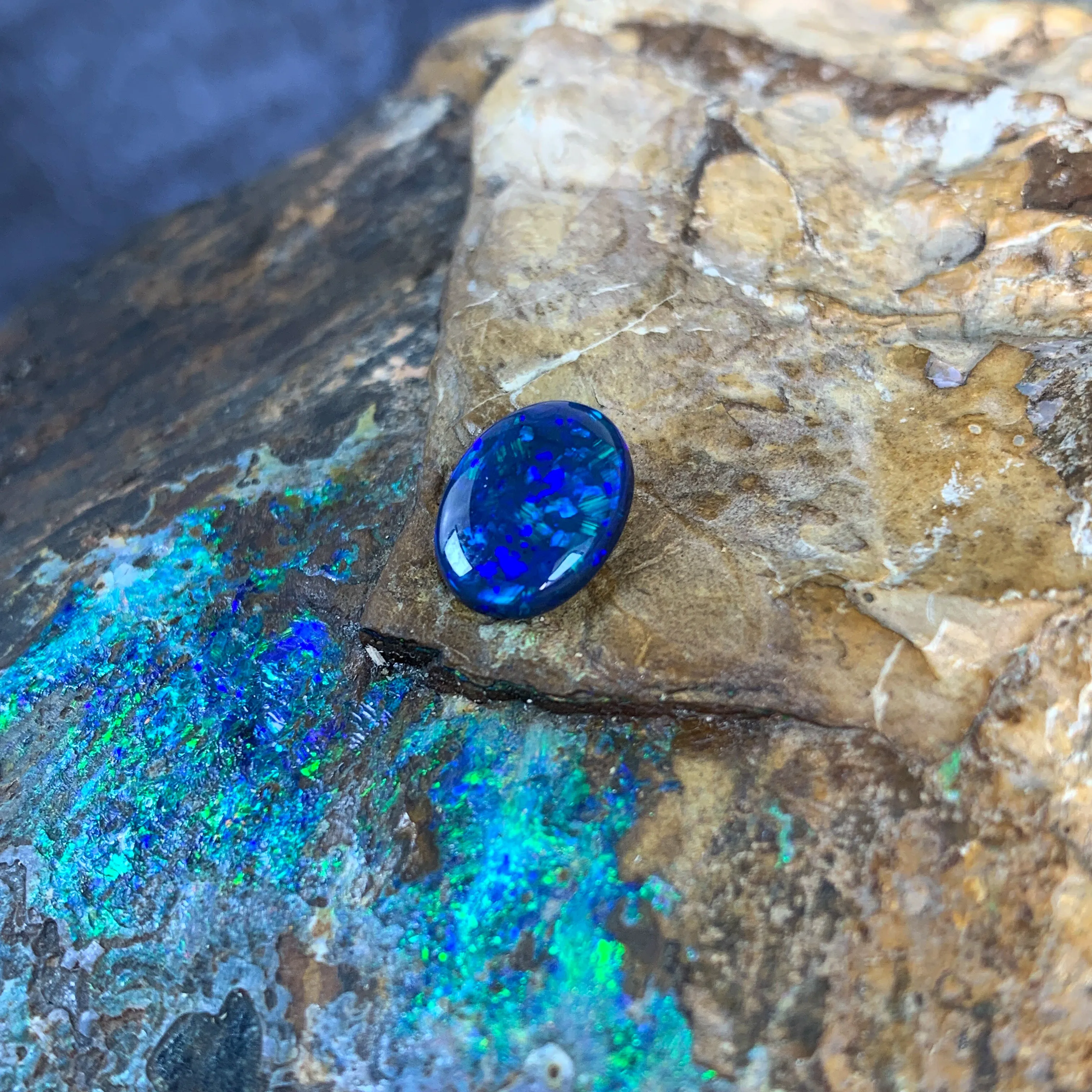 1.7ct Oval Black Opal loose Blue