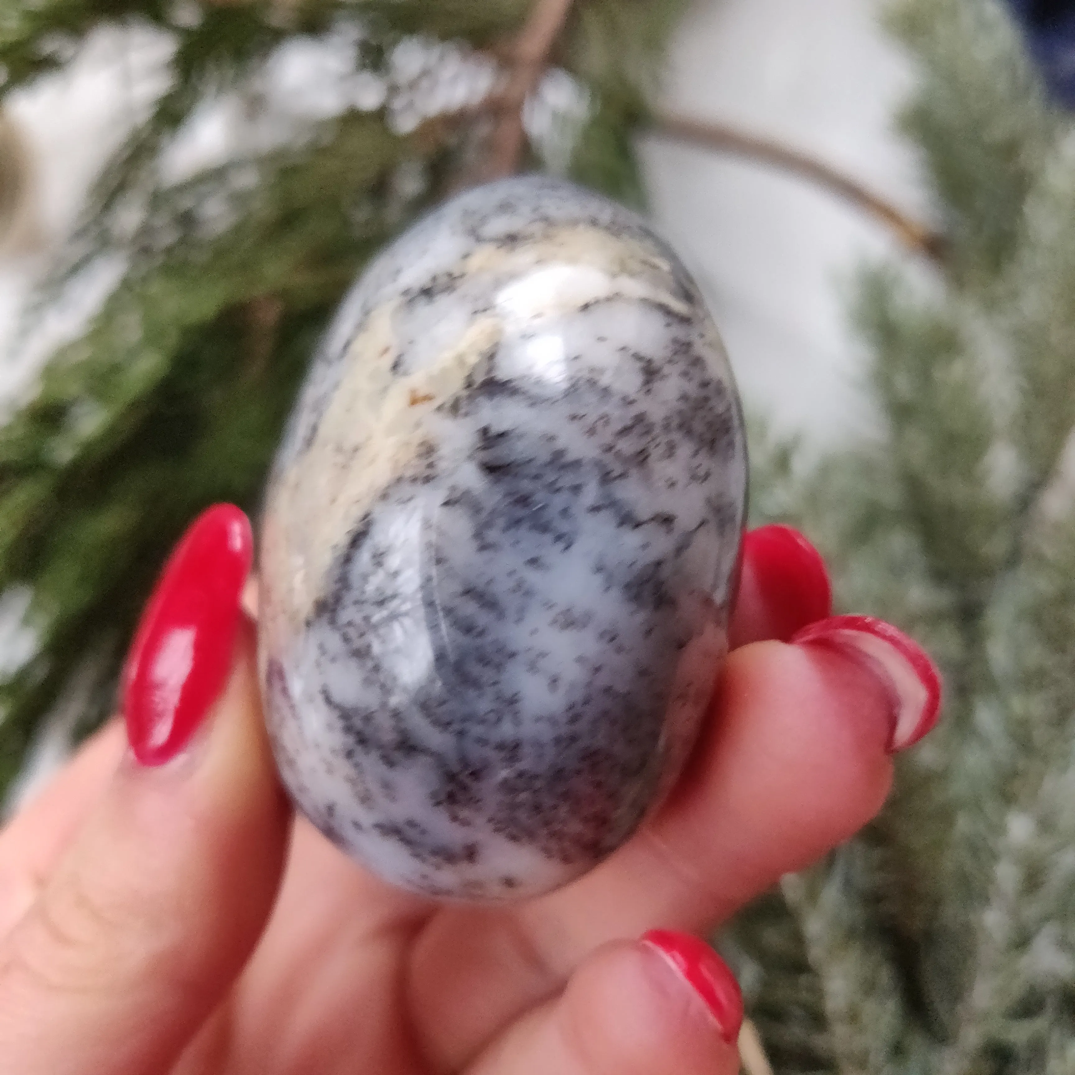 Dendritic Opal  Palm Stone (#21)