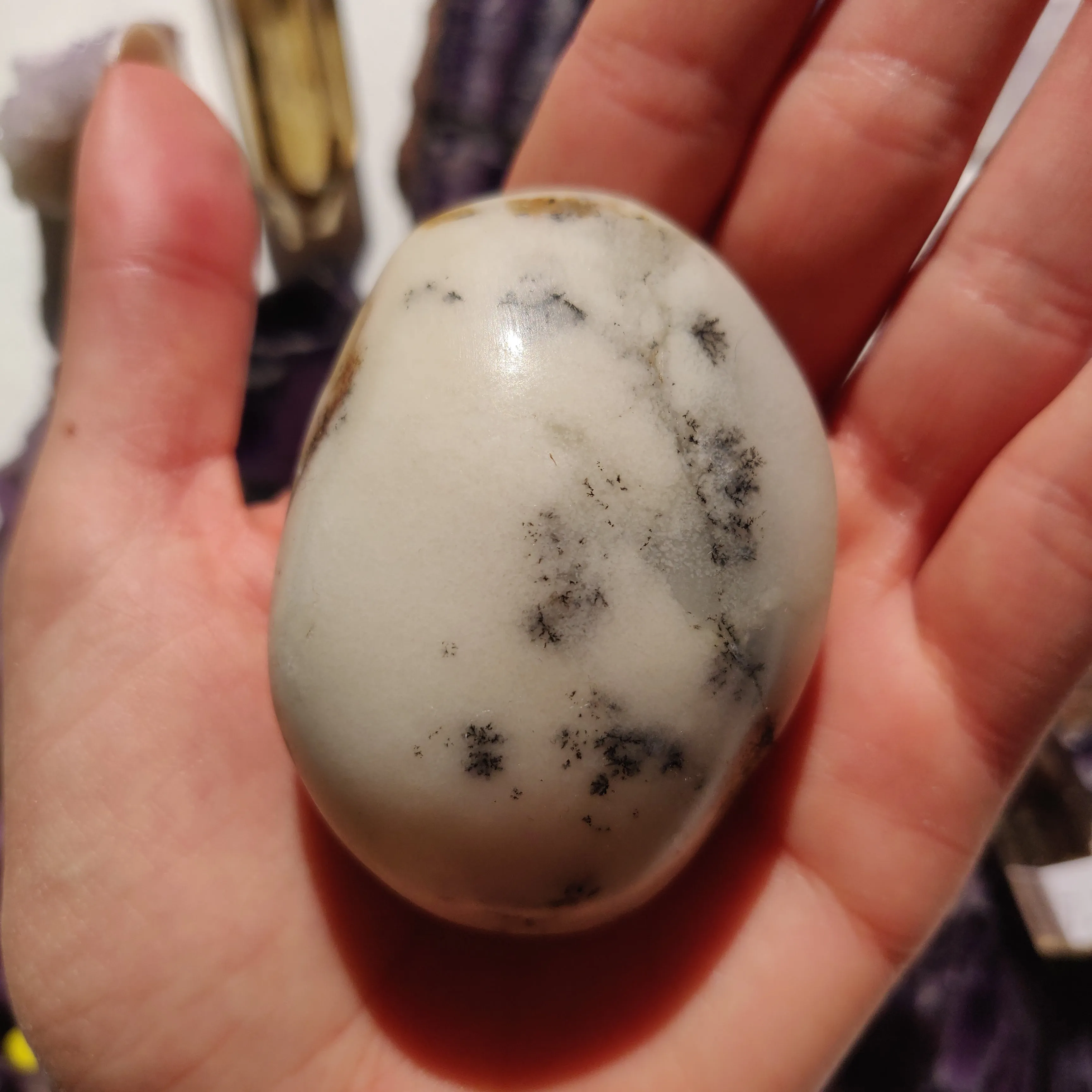 Dendritic Opal Palm Stone (#39)