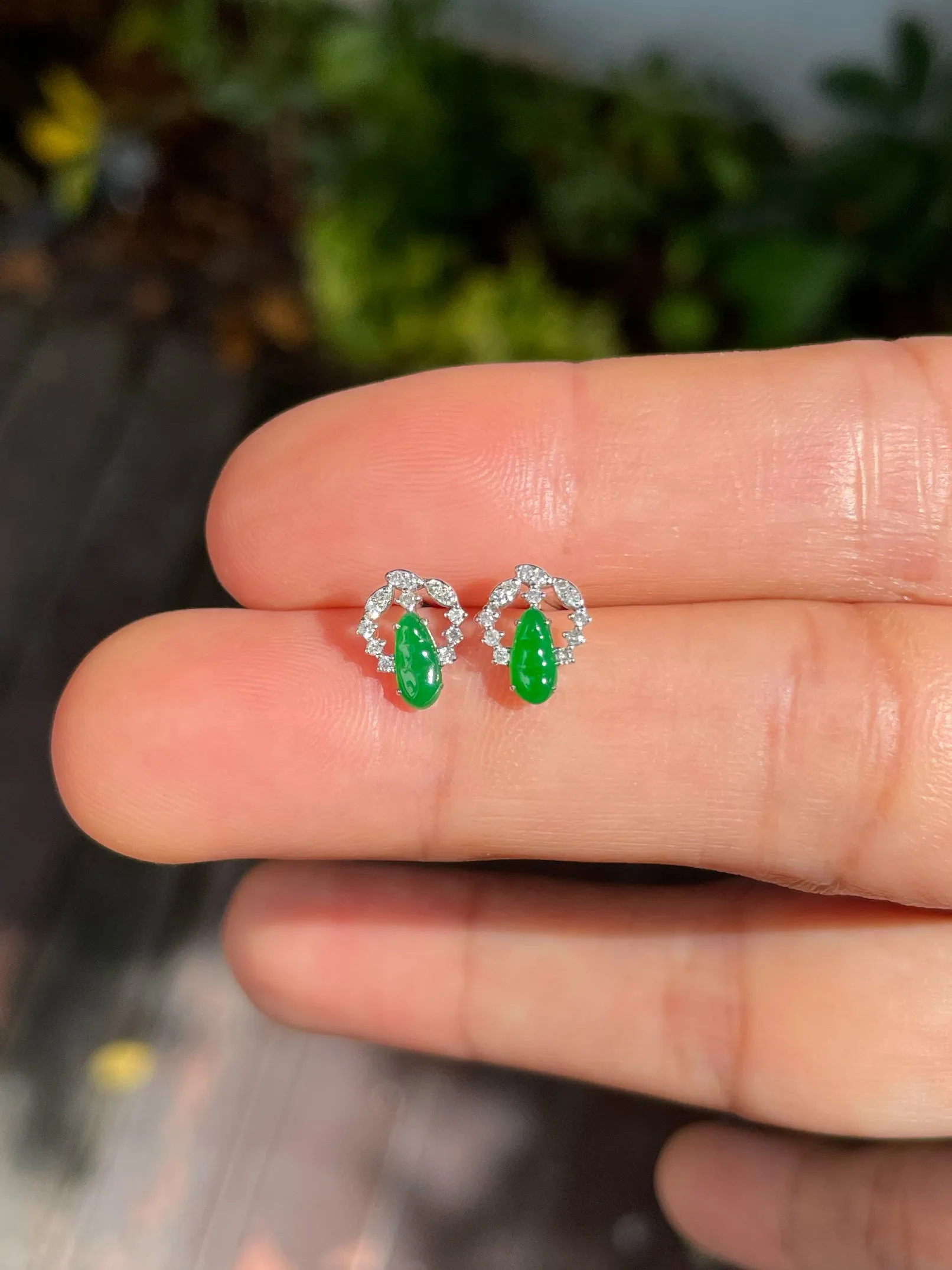 Green Jade Earrings - Peapod Carvings (NJE233)