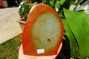 Natural Jade Rough Jadeite Raw (644g,15.3X11.9X2cm)