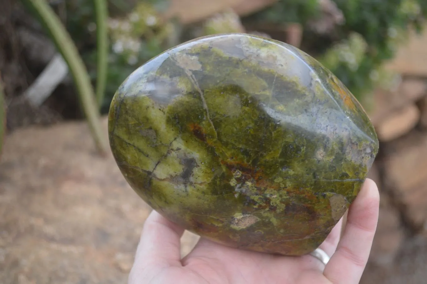 Polished Green Opal Standing Free Form  x 1 From Madagascar