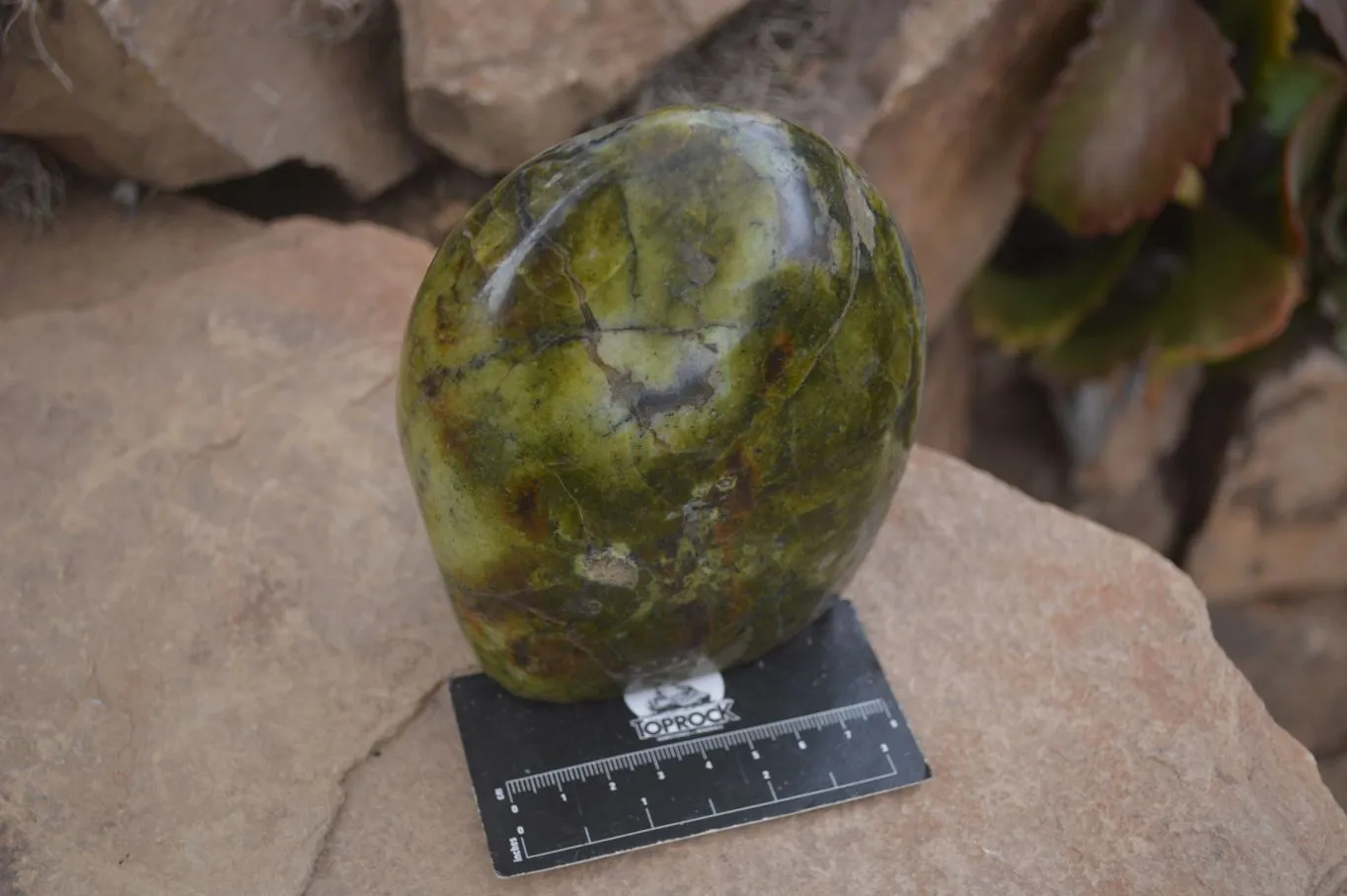 Polished Green Opal Standing Free Form  x 1 From Madagascar